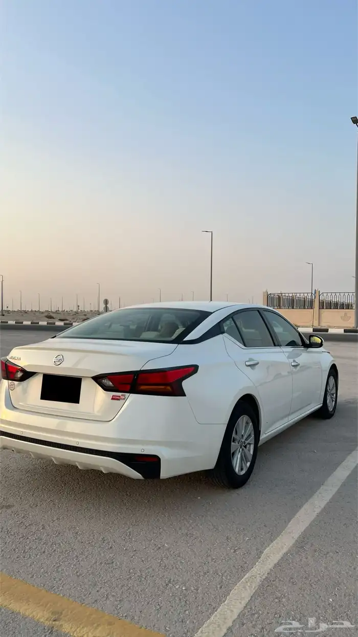 التيما 2022 مالك اول بلد 7