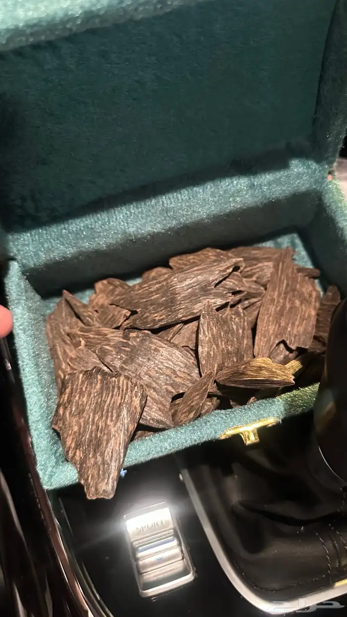 عود كلمنتان بنتلي محسن درجة أولى 0