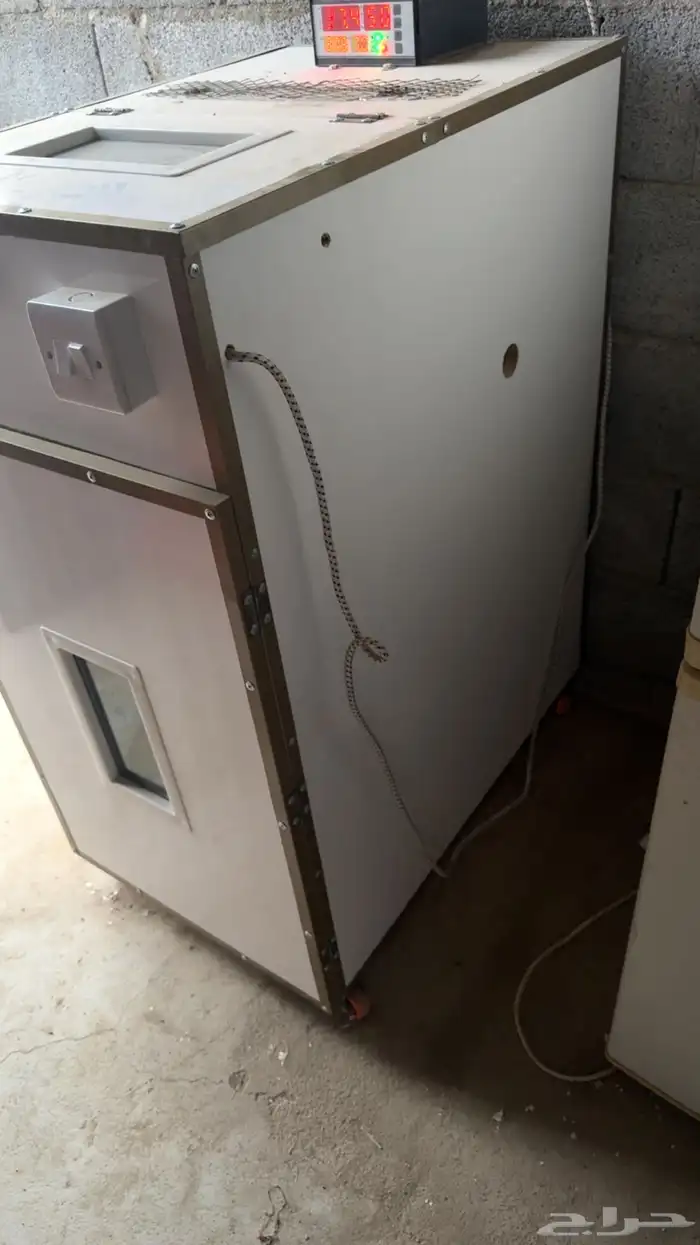 فقاسه 1032بيضه 2