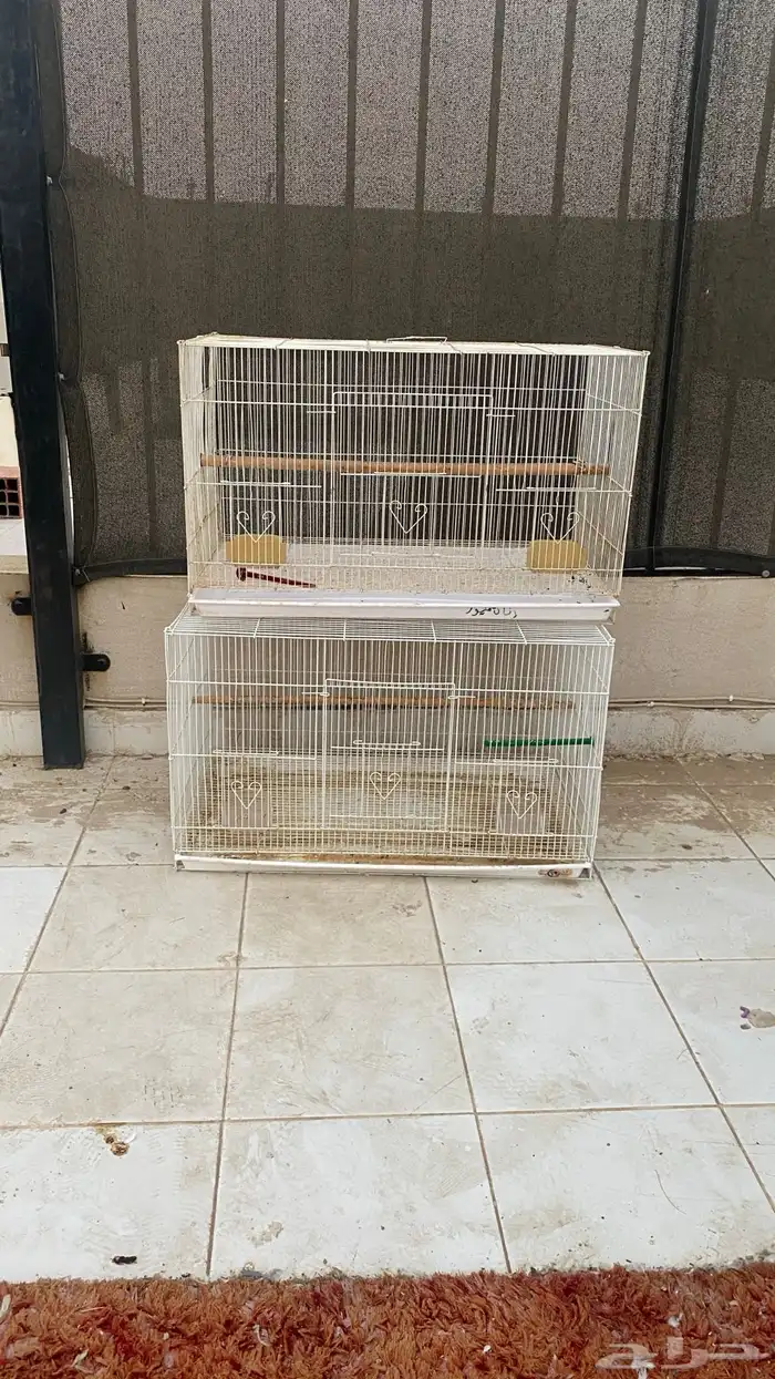 قفص 610 (( تم البيع )) 1