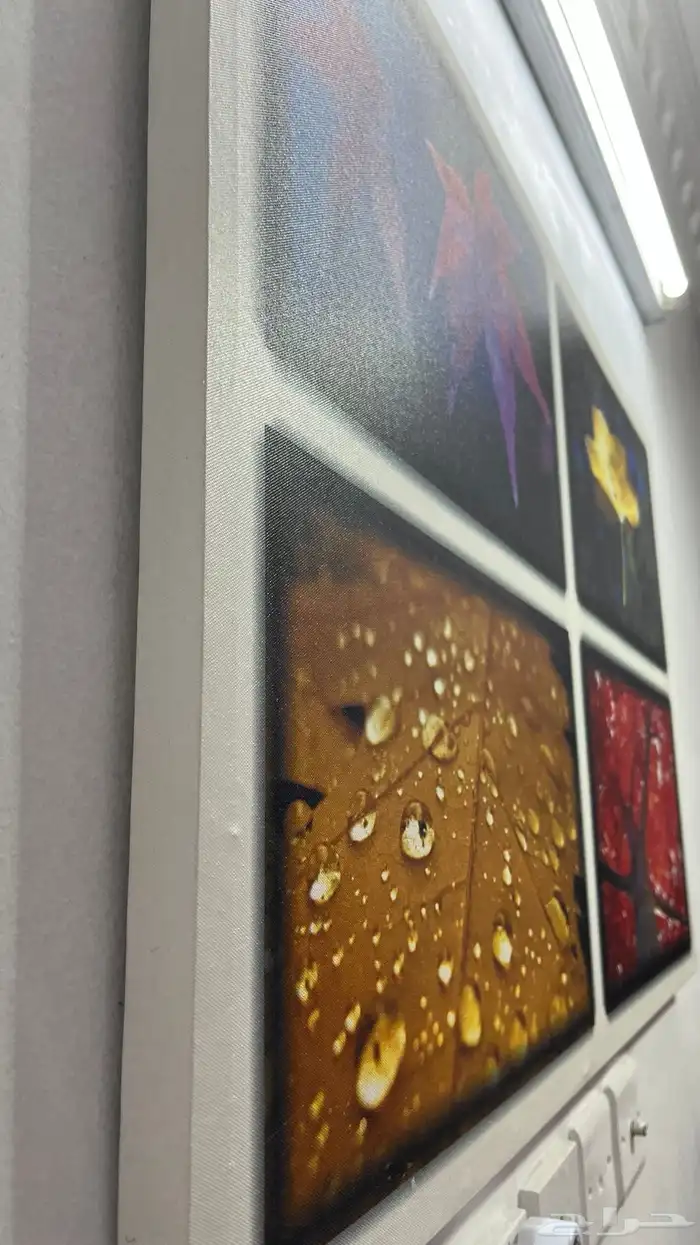 لوحة كانسون 3