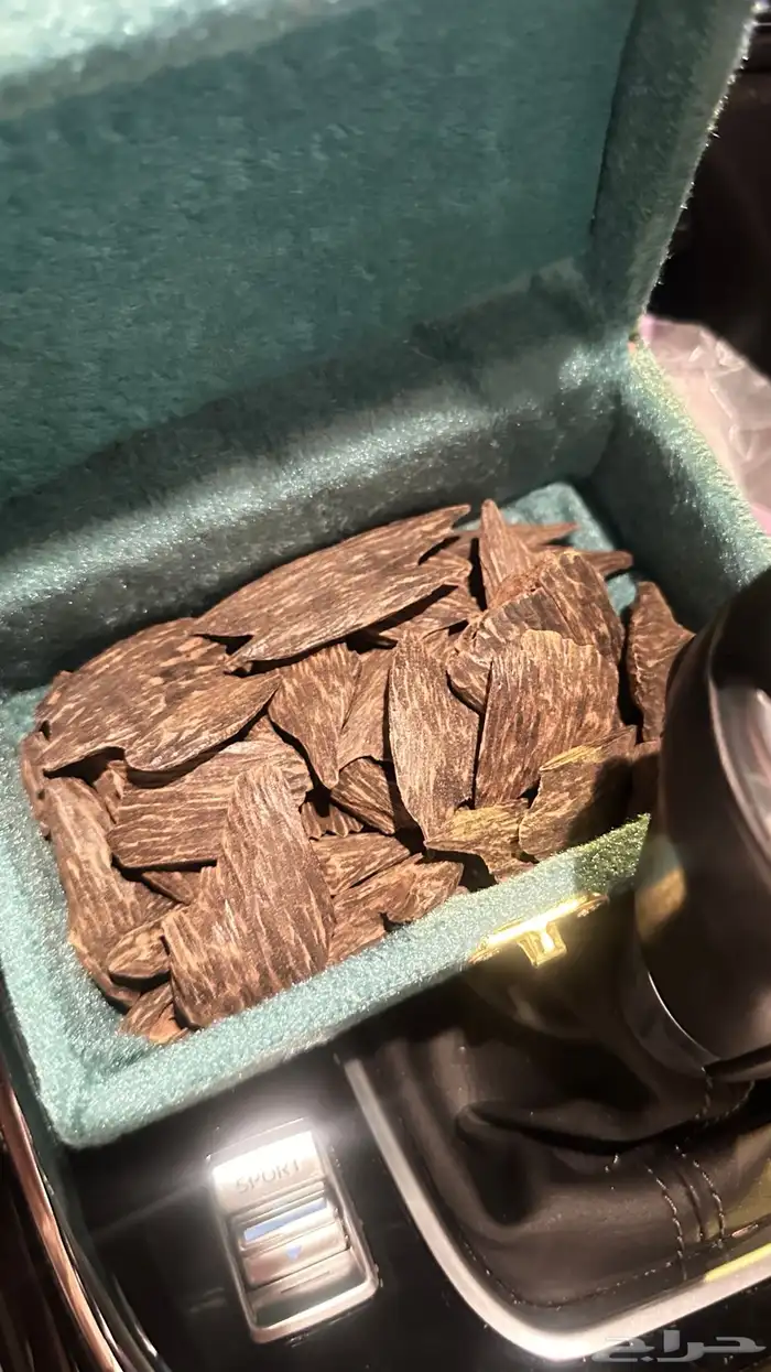 عود كلمنتان بنتلي محسن درجة أولى 2