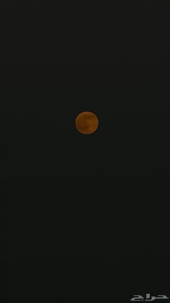 مطلوب شقه في الخبر 0