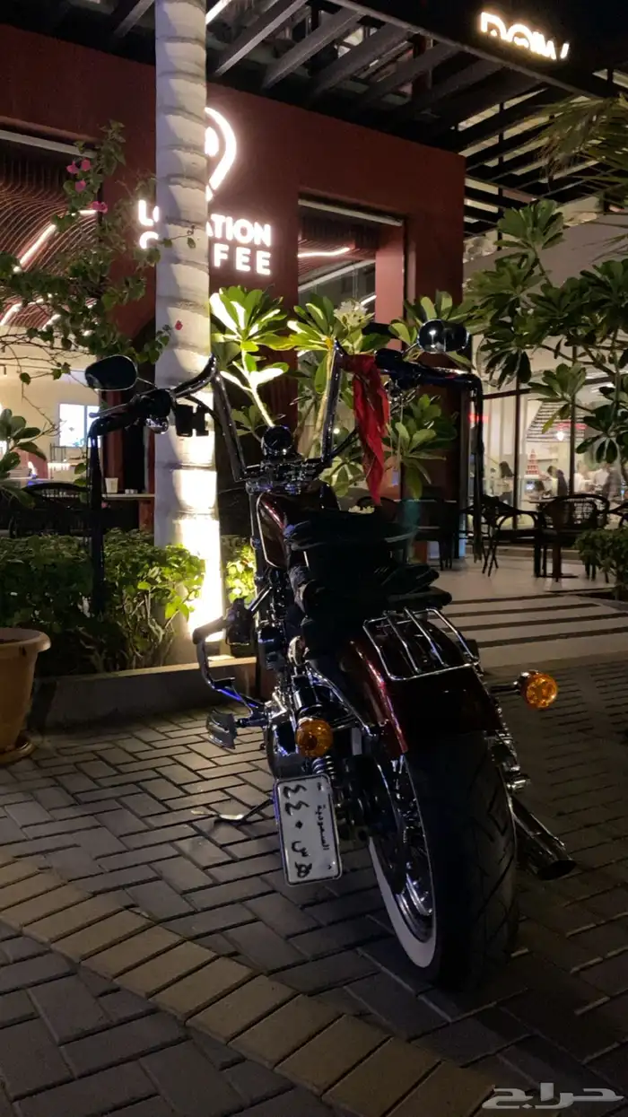 دراجه ناريه من نوع هارلي سبوستر كاستم موديل 2012 3