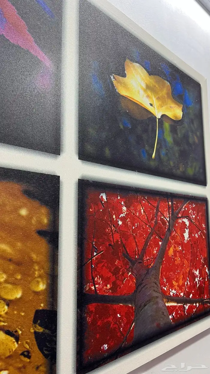 لوحة كانسون 1