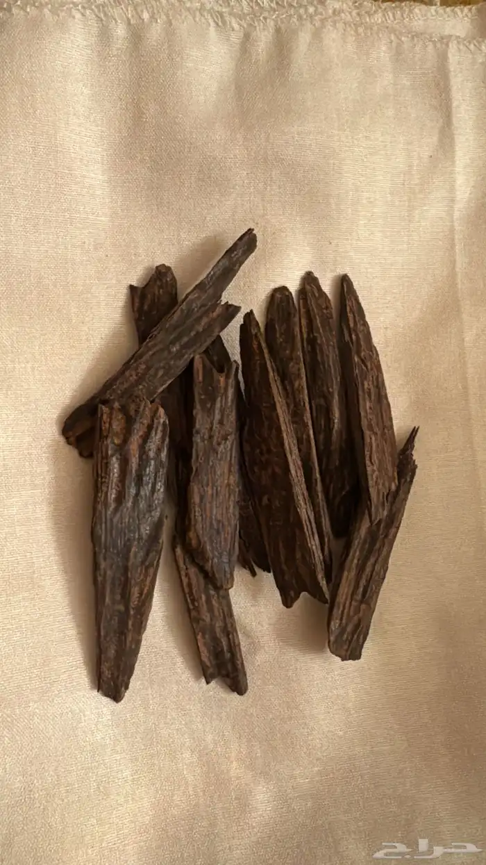 عود كلمنتان فيتنامي عالي الريسين 40 ريال 2