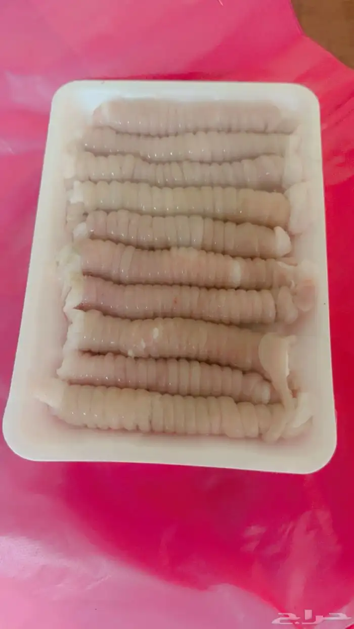 ذبائح حائل 19