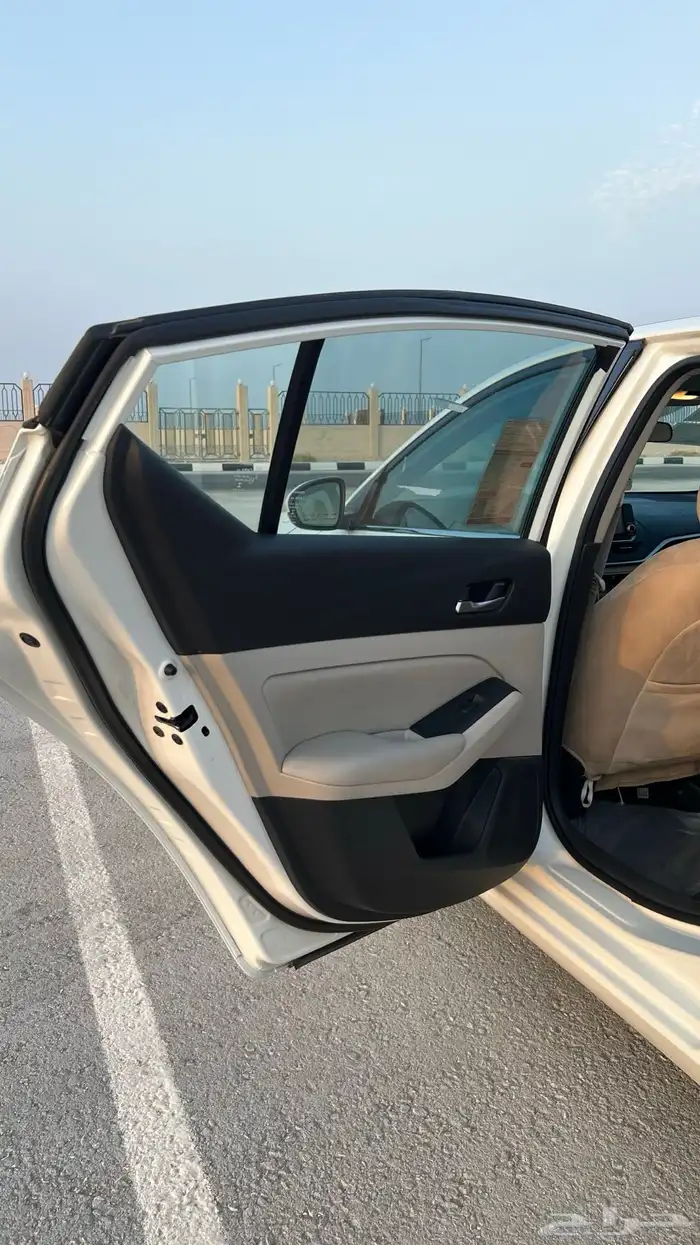 التيما 2022 مالك اول بلد 17