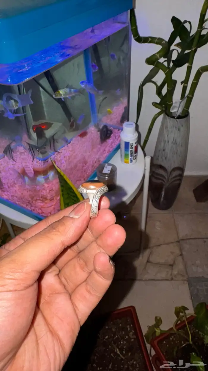 خاتم فضة عقيق يماني اصلي   صياغة عبد العزيز سلامه 1