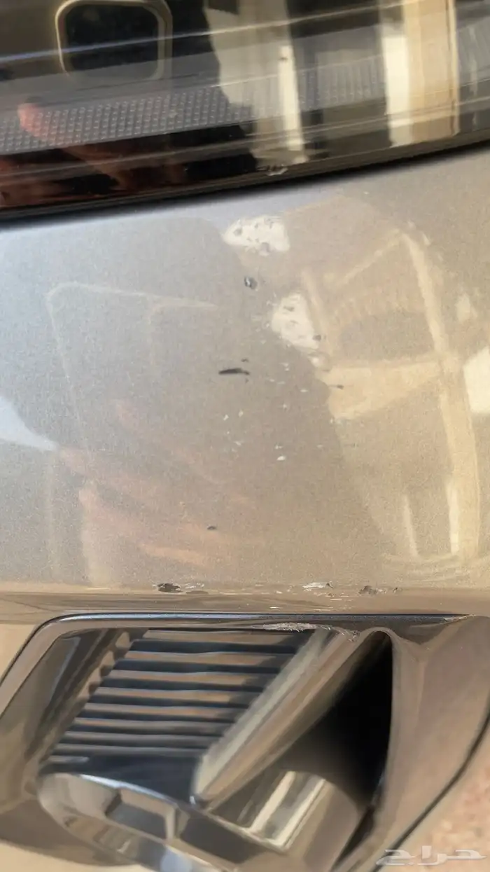 تنازل شيري اريزو 8 2025 5