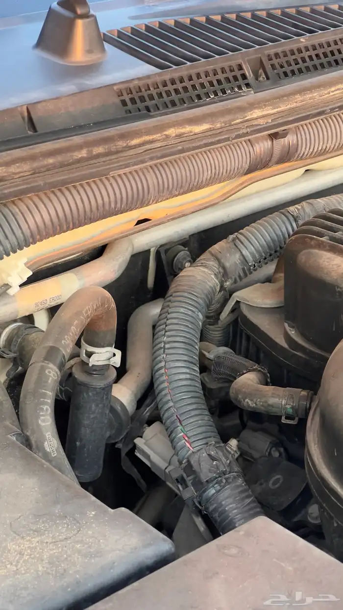 اكستيرا 2011ممشى 107 49