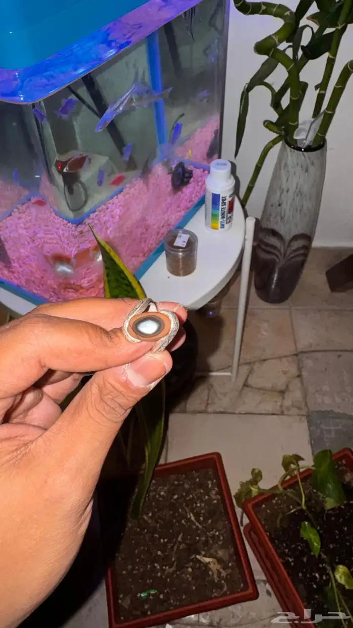 خاتم فضة عقيق يماني اصلي   صياغة عبد العزيز سلامه 2