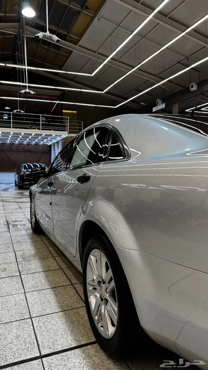 كابرس 2013 فضي 2