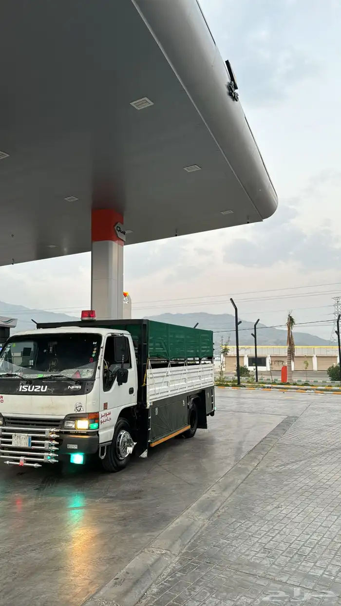 دينا ايسوزو 2004 للبيع 1