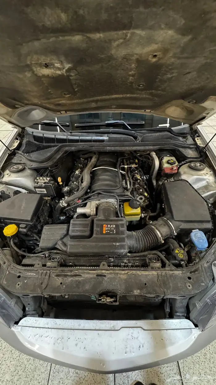 كابرس 2013 فضي 10