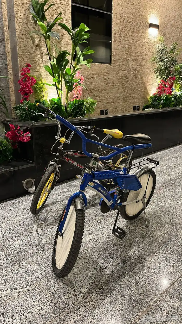 سياكل للبيع 0