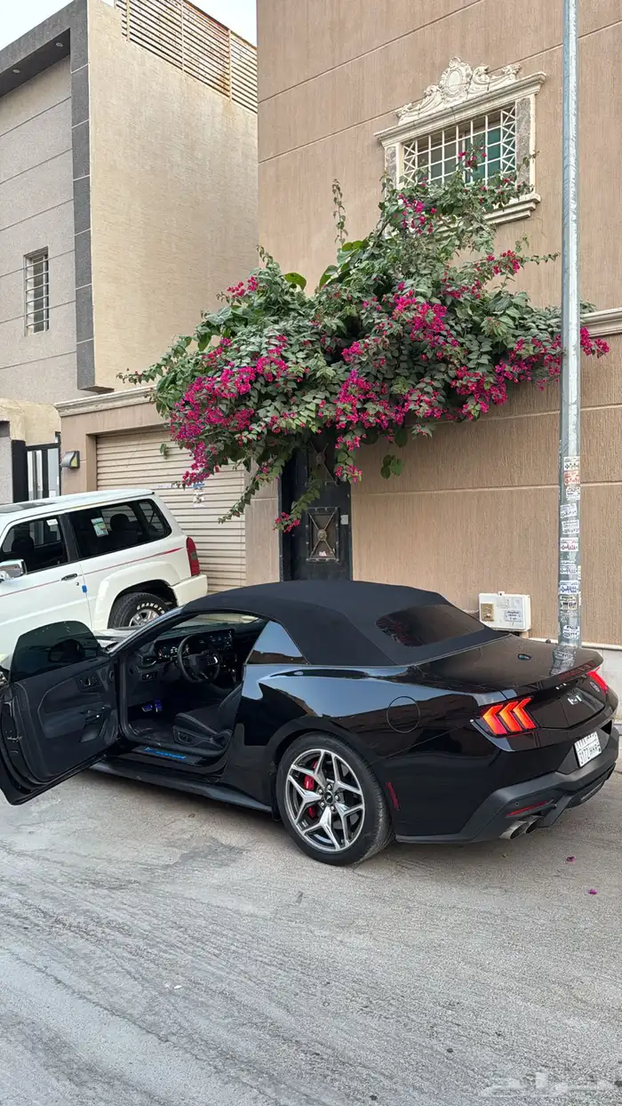 موستنق GT كشف اسود 8