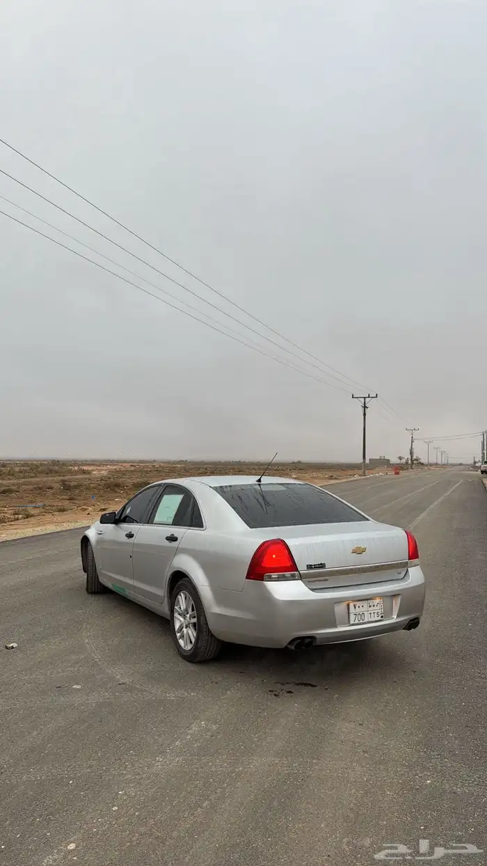 كابرس 2013 فضي 11