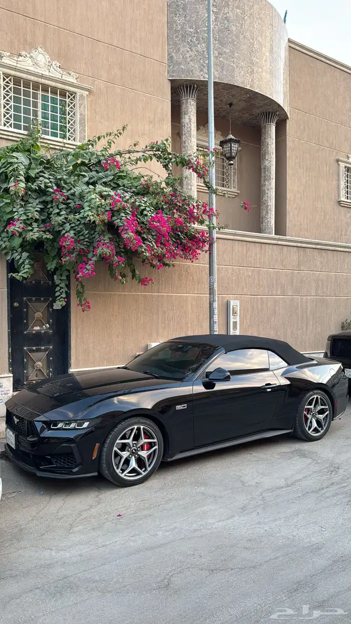 موستنق GT كشف اسود 1