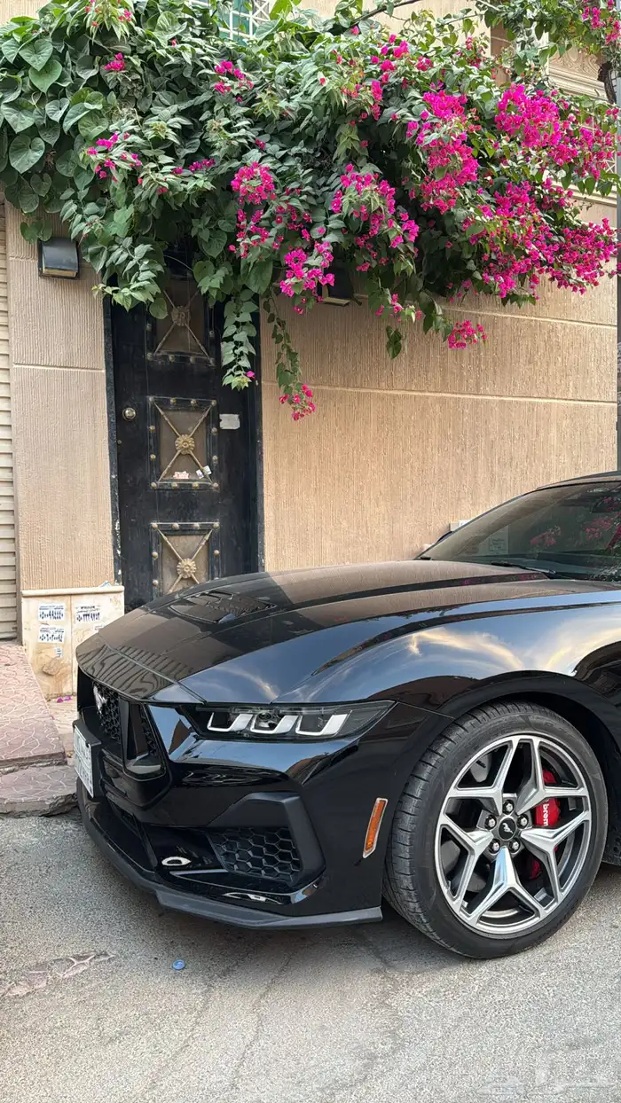 موستنق GT كشف اسود 0