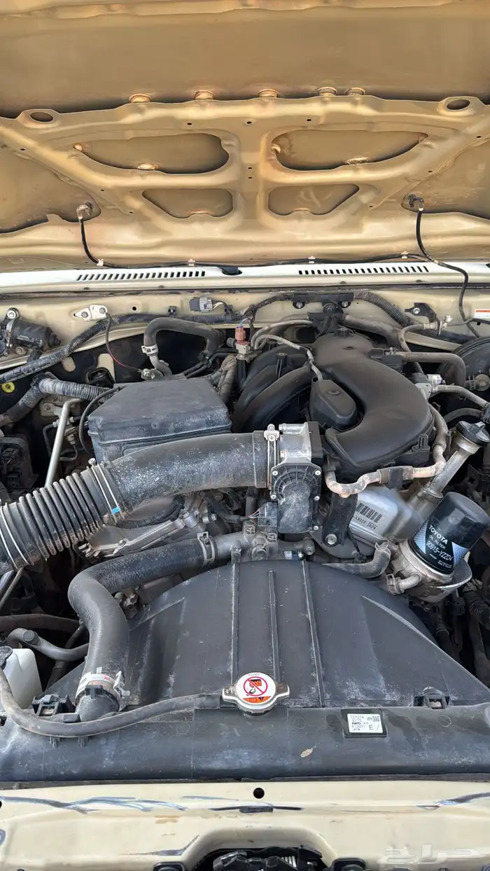 شاص 2017 دفلك 5