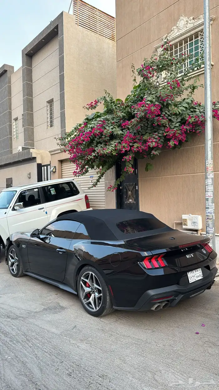 موستنق GT كشف اسود 2