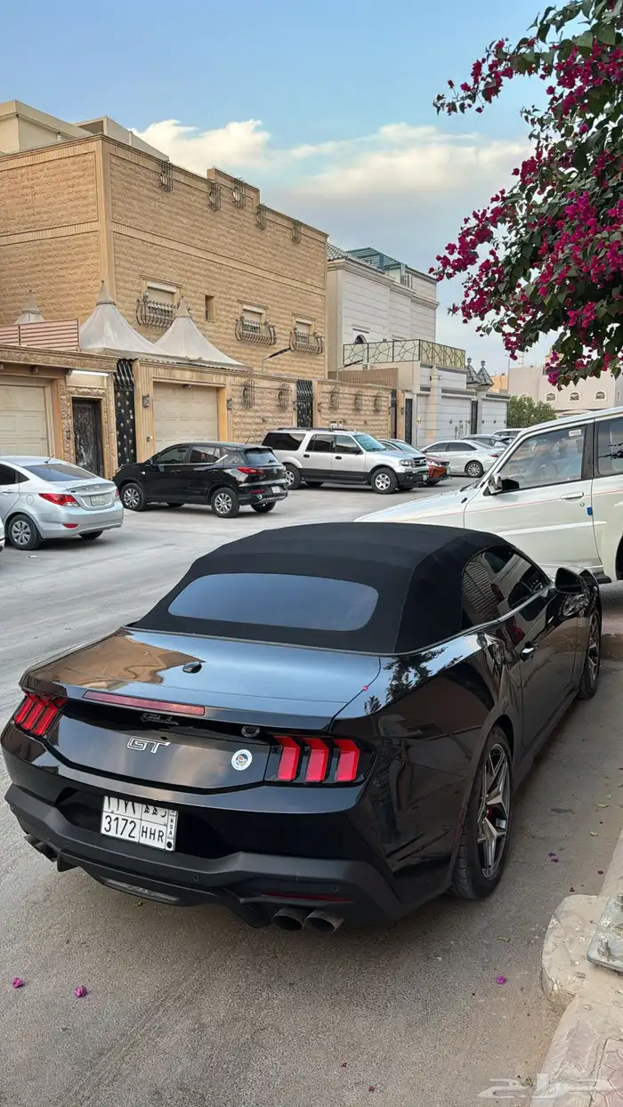 موستنق GT كشف اسود 3