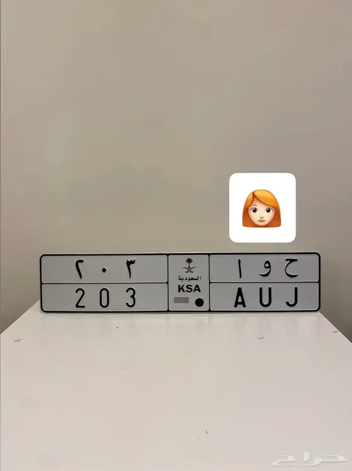 لوحه مميزه حوا 203 0