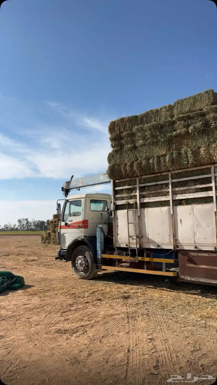 لوري تحميل 1