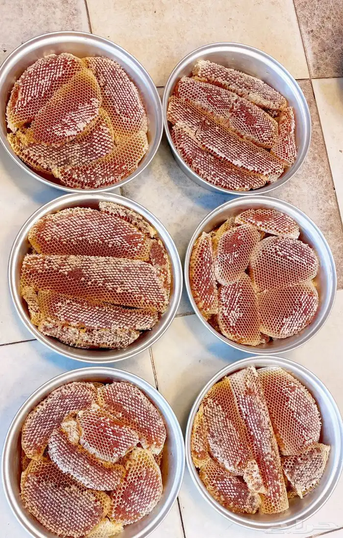 عسل سدره وسمره وطلح وضهيانه وقتادة وغذاء المكات اصلي ومضمون 1