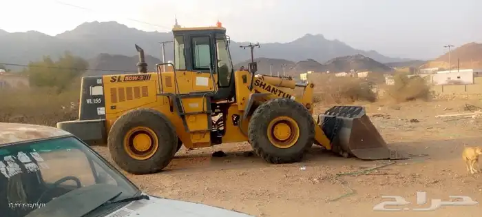 شيول شانتوي صيني 5