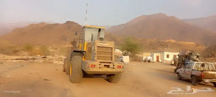 شيول شانتوي صيني 10