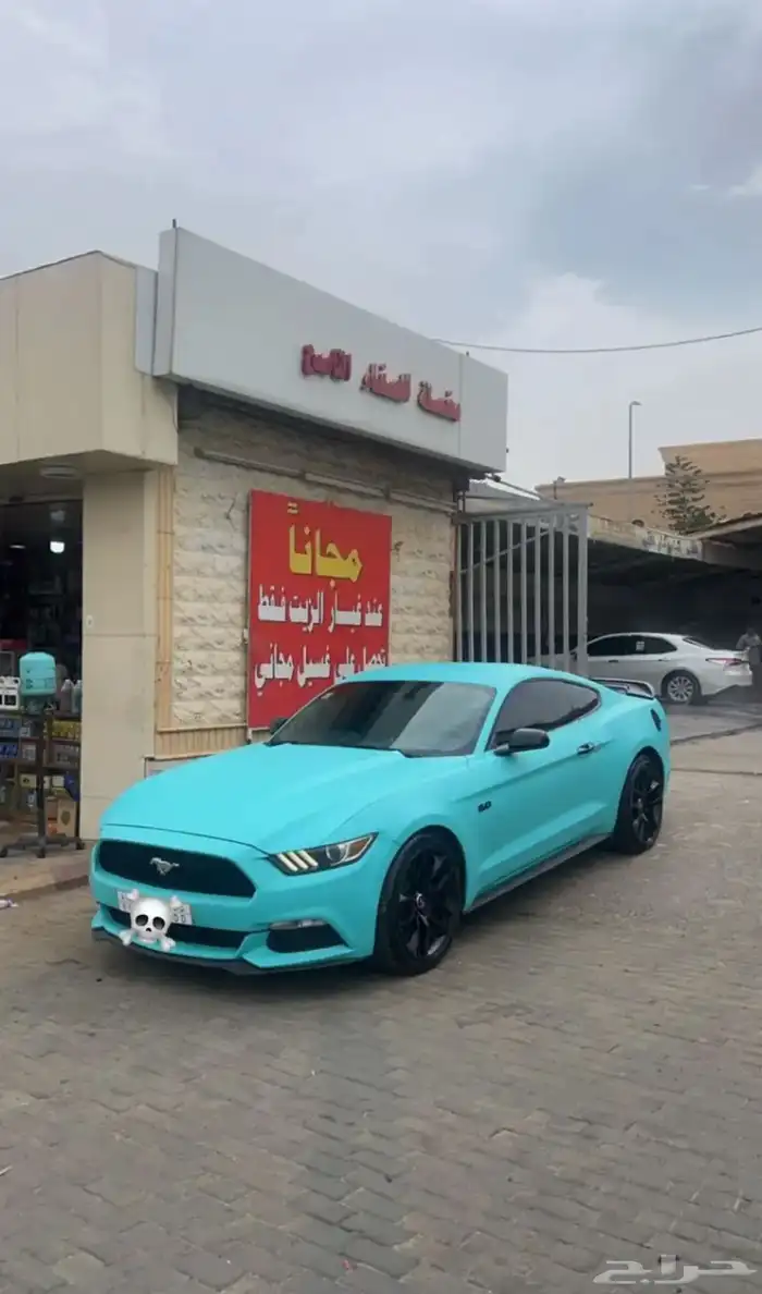 موستنج 2015 للبيع 12