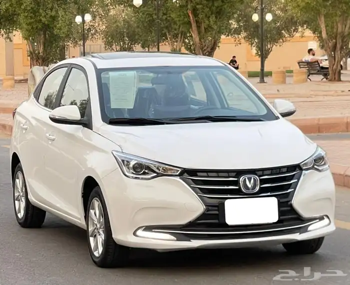 شانجان السفن 2025 فل كامل سعودي 8