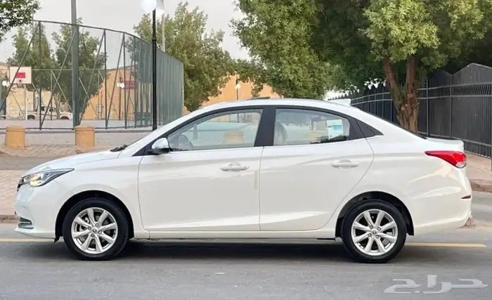 شانجان السفن 2025 فل كامل سعودي 3