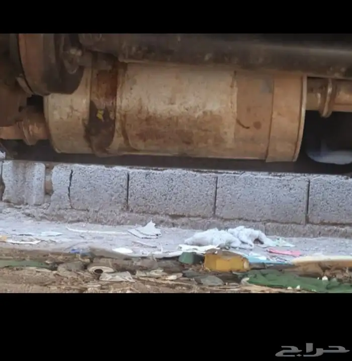 شكمان دينا ايسزوز وكاله لي بدل 0