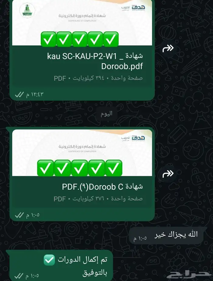 حضور دورات تدريبية معتمدة 2