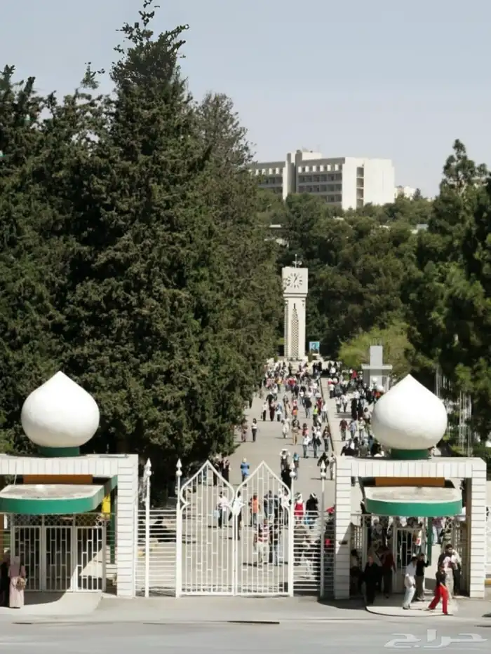 رحلات دراسية و علاجيه وسياحيه على الاردن 17