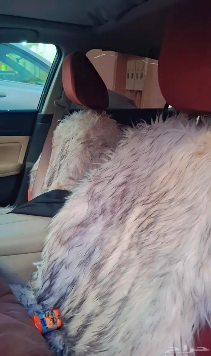 نيسان التيما 2022 للبيع او البدل 7