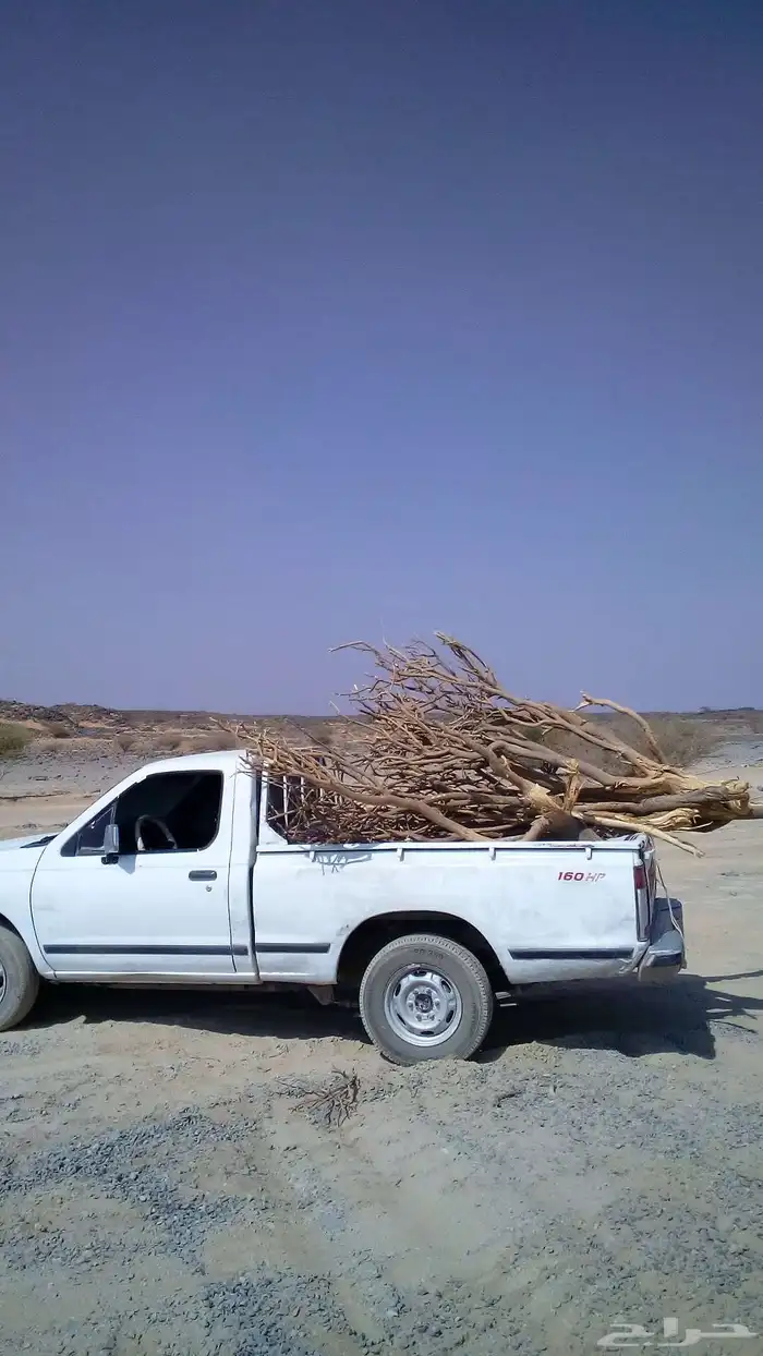 حطب حملة ددسن للبيع مستورد الموقع ام الدوم على السوم 0