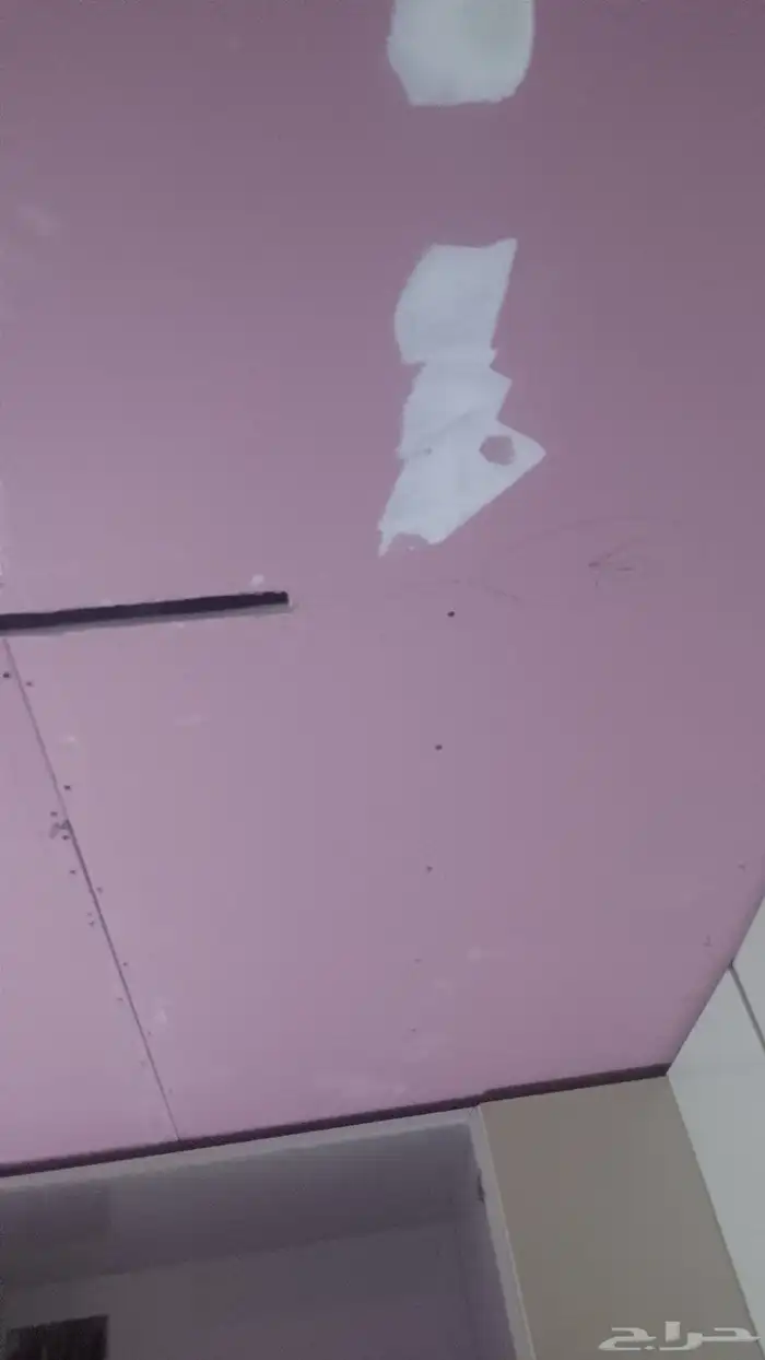 دھان  ا ستاني آبھا 3