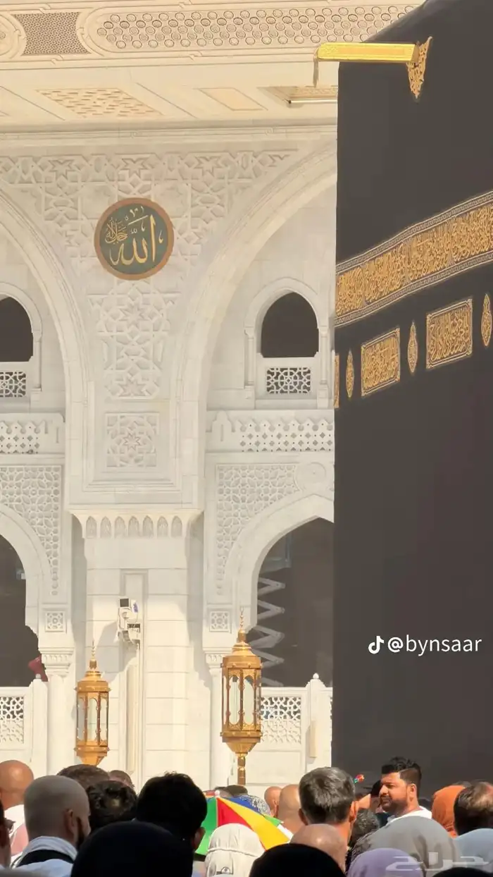 معلم للقرآن الكريم والتجويد المتقن 0