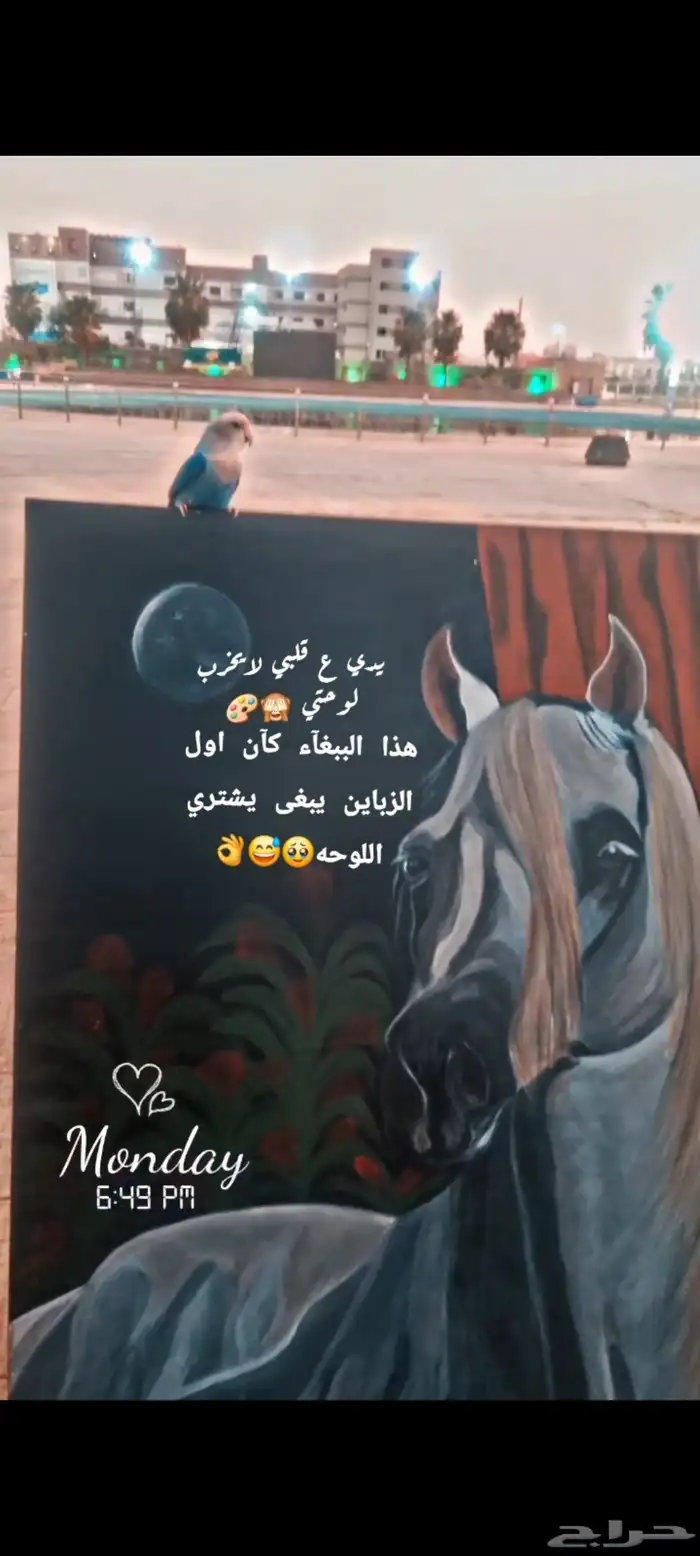 لوخة الخيل 4