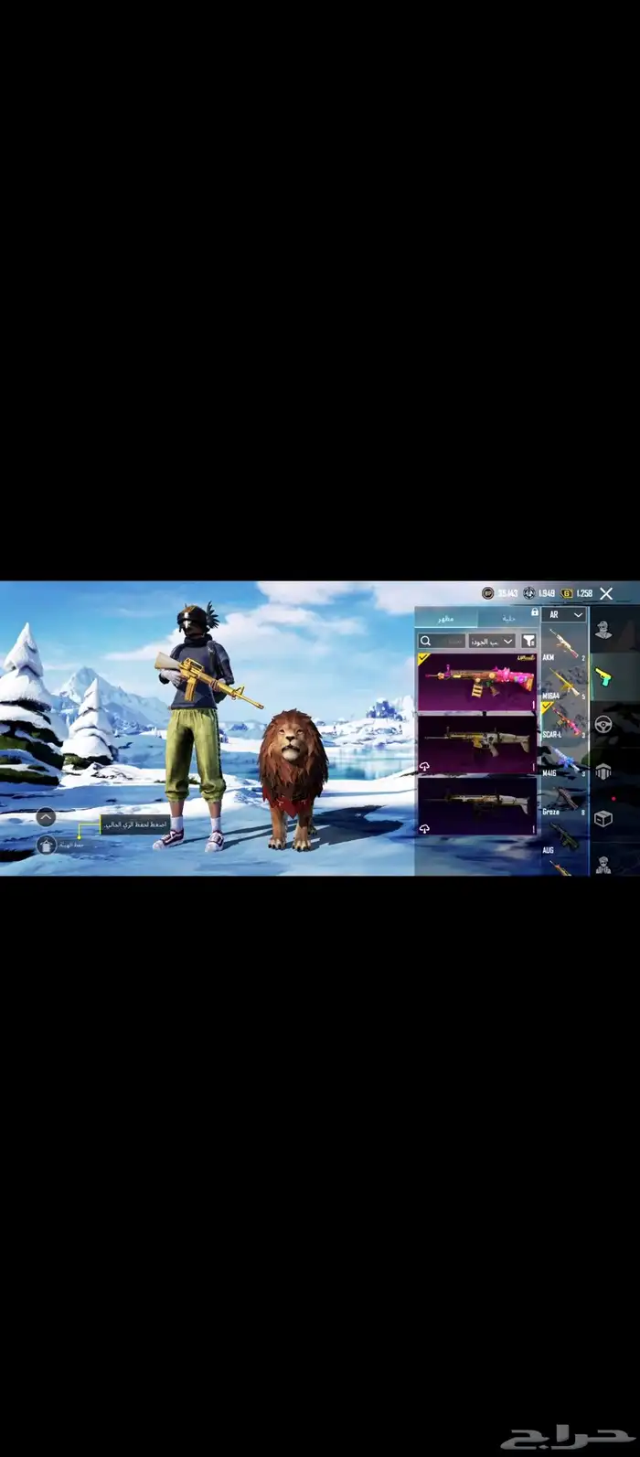 حساب ببجي للبيع 33