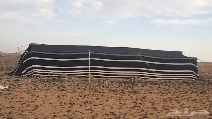 للبيع بيت شعر 0