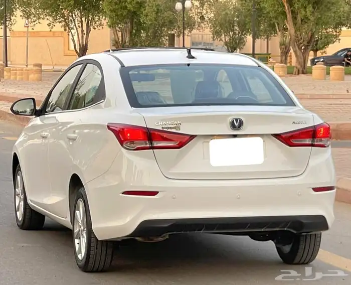 شانجان السفن 2025 فل كامل سعودي 6