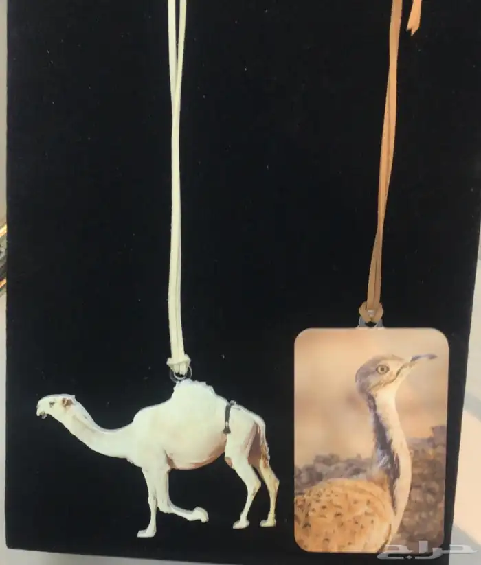 تعليقات سياره 1