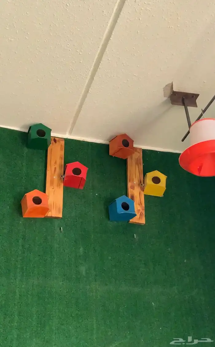 بياضات زيبرا ملونه 1