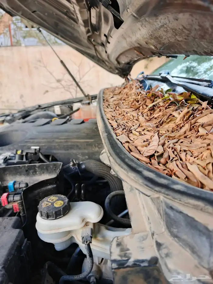 فورد رينجر ديزل دبل 2017ممشى قليل جدا 16