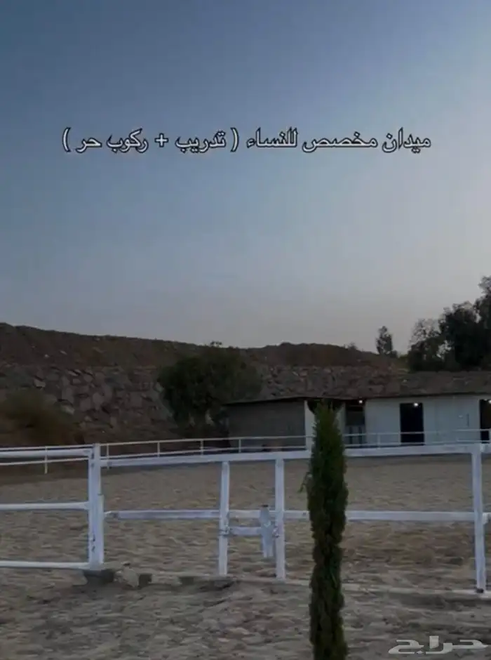 مربط ايواء خيول 2